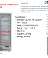 Up Right Glass Door Freezer GEA