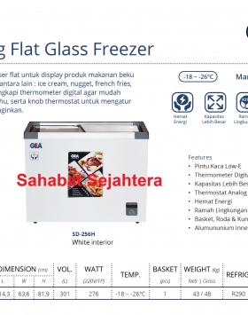 Sliding Flat Glass Freezer GEA